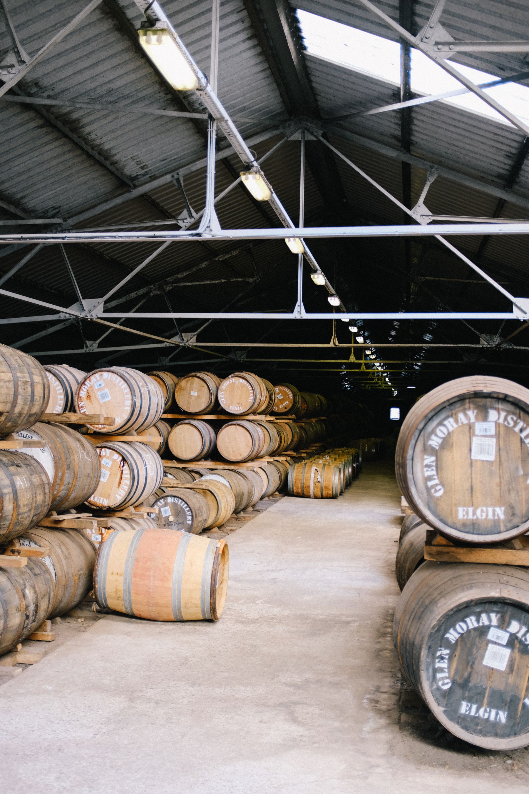 The landscape and maturation character behind Fallow Glen 14