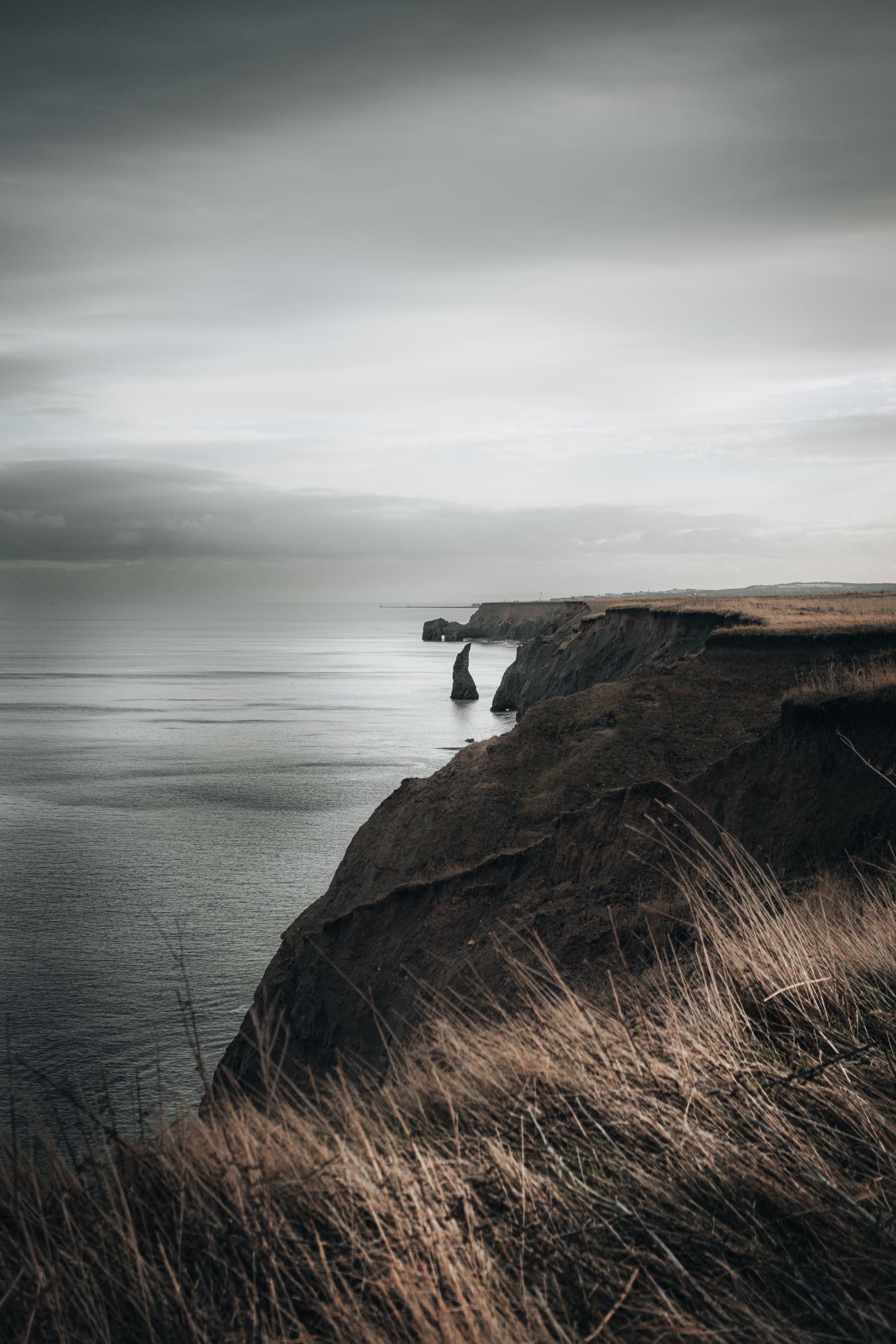 The landscape and maturation character behind Grey Harbour 13